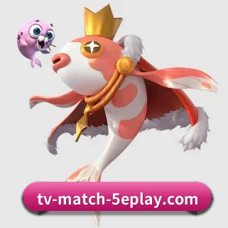 5eplay APP 界面 | 5epaly
